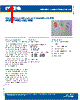 C4SMT-RJS-CS0V0BB1 Datasheet HTML 1Page - Cree, Inc 