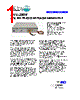 PVX-2506 Datasheet HTML 1Page - Directed Energy, Inc. 