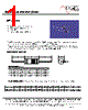 MF1302T-R15 Datasheet HTML 1Page - ECM Electronics Limited. 
