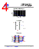 LV5545DEW Datasheet HTML 4Page - Pletronics, Inc. 