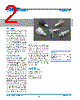 31-9-RFX Datasheet HTML 2Page - Amphenol Corporation 