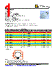 TLL-RACE-061 Datasheet HTML 1Page - BetLux Electronics 